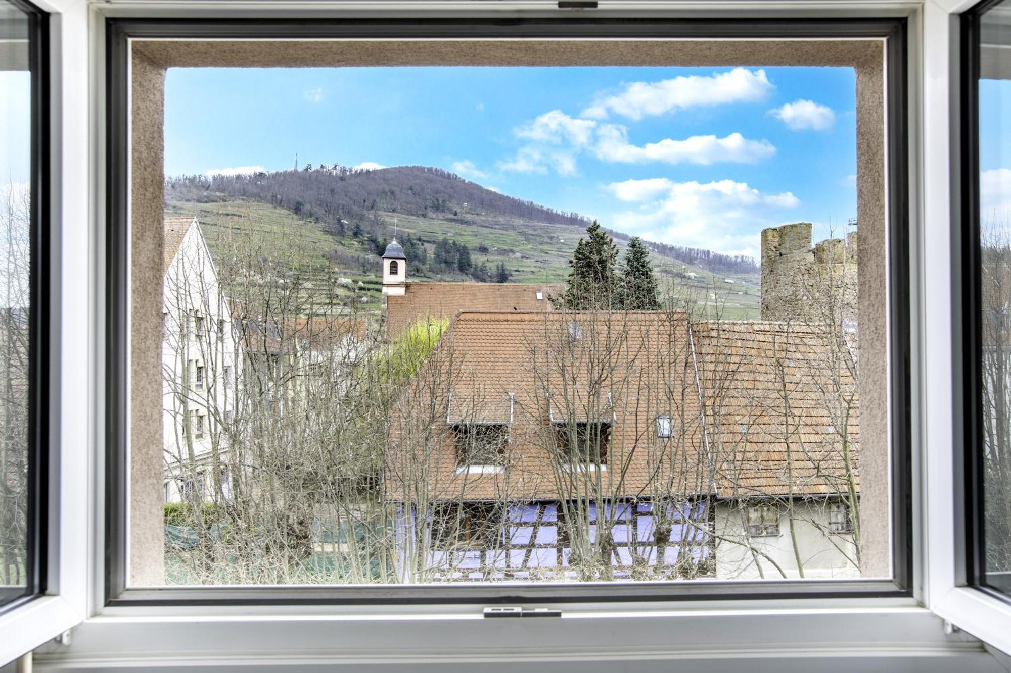 Choupette De La Vallee Avec Garage Kaysersberg-Vignoble Exteriér fotografie